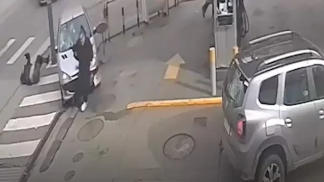 Mar del Plata: inhabilitan de por vida a la conductora con licencia falsa. Fotografía editorial relacionada con licencia de conducir falsa Mar del Plata. publicada en Netaware