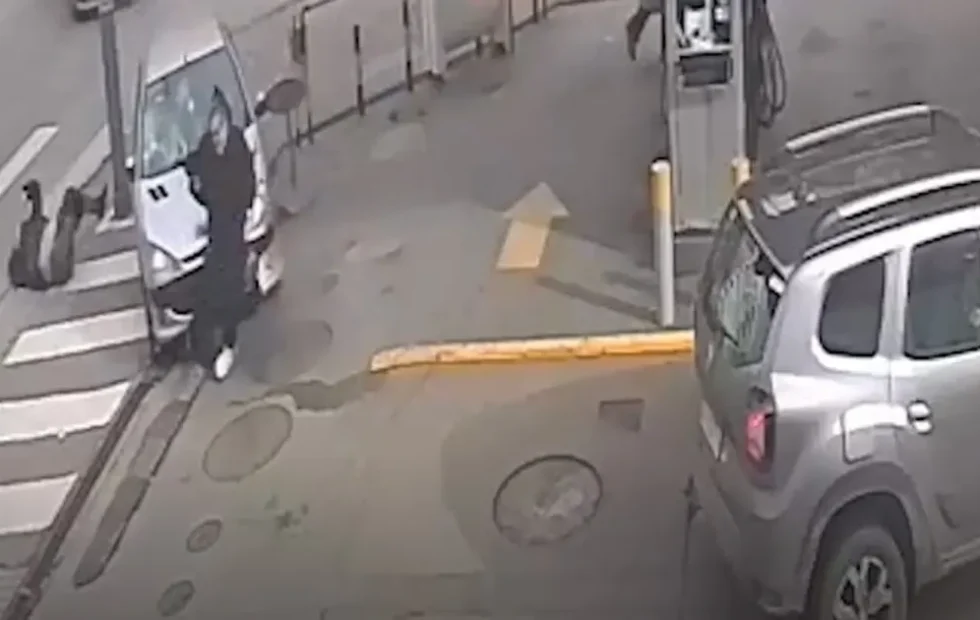 Mar del Plata: inhabilitan de por vida a la conductora con licencia falsa. Fotografía editorial relacionada con licencia de conducir falsa Mar del Plata. publicada en Netaware
