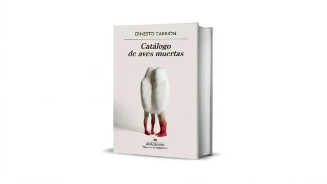 Ernesto Carrión explora el duelo y el misterio de las aves suicidas. Fotografía editorial relacionada con aves suicidas y duelo. publicada en Netaware