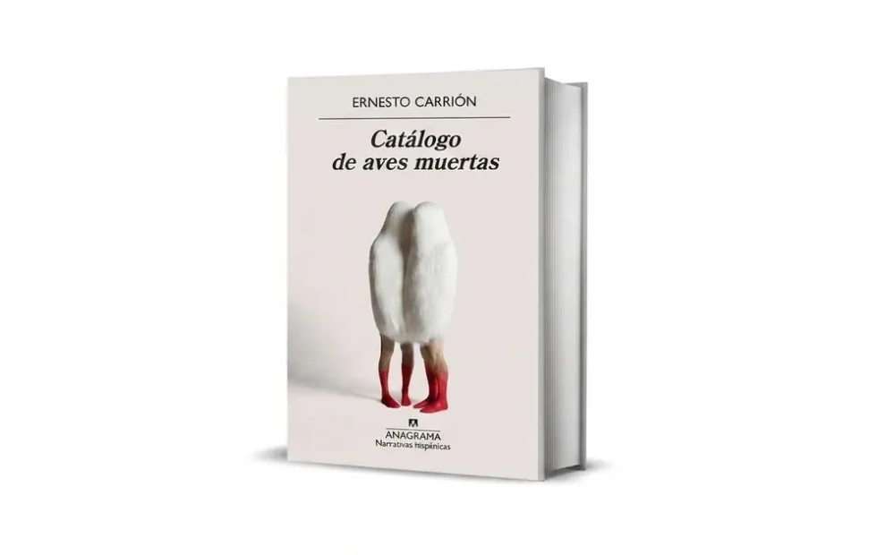 Ernesto Carrión explora el duelo y el misterio de las aves suicidas. Fotografía editorial relacionada con aves suicidas y duelo. publicada en Netaware