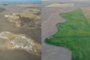 La FAO busca liderar una nueva revolución agrícola basada en la ciencia. Imagen destacada sobre nueva revolución agrícola. publicada en Netaware