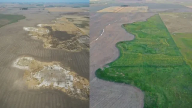 La FAO busca liderar una nueva revolución agrícola basada en la ciencia. Imagen destacada sobre nueva revolución agrícola. publicada en Netaware