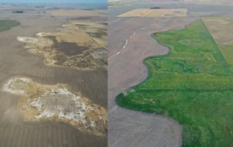 La FAO busca liderar una nueva revolución agrícola basada en la ciencia. Imagen destacada sobre nueva revolución agrícola. publicada en Netaware