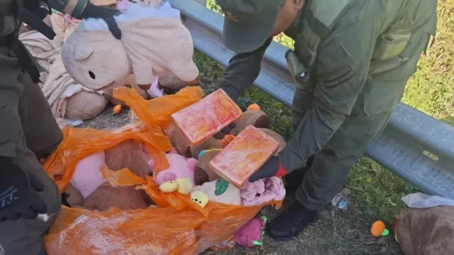 Narcopeluches: hallan marihuana y cocaína dentro de carpinchos de felpa. Fotografía editorial relacionada con narcopeluches en Catamarca. publicada en Netaware