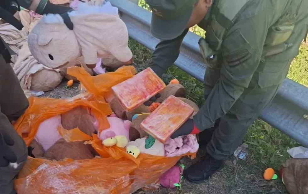 Narcopeluches: hallan marihuana y cocaína dentro de carpinchos de felpa. Fotografía editorial relacionada con narcopeluches en Catamarca. publicada en Netaware