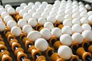 Argentina lidera el consumo mundial de huevo con casi 400 unidades por persona. Fotografía editorial relacionada con consumo argentino de huevo. publicada en Netaware