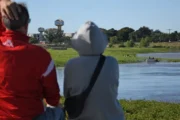 Camalotes en San Vicente: ciencia argentina contra una invasión silenciosa. Imagen destacada sobre camalotes en San Vicente. publicada en Netaware