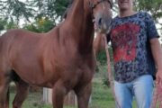 San Vicente: investigan un crimen por encargo ligado a una deuda de drogas. Fotografía editorial relacionada con crimen por encargo en San Vicente. publicada en Netaware