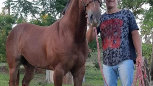 San Vicente: investigan un crimen por encargo ligado a una deuda de drogas. Fotografía editorial relacionada con crimen por encargo en San Vicente. publicada en Netaware