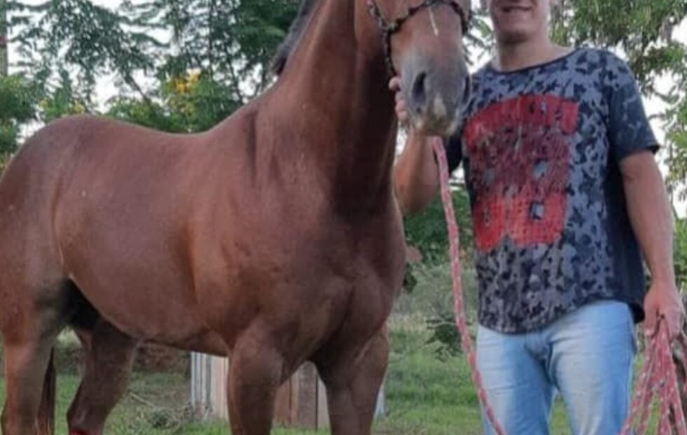 San Vicente: investigan un crimen por encargo ligado a una deuda de drogas. Fotografía editorial relacionada con crimen por encargo en San Vicente. publicada en Netaware