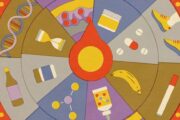Seis mitos sobre longevidad que la evidencia científica no respalda. Imagen destacada sobre mitos sobre longevidad. publicada en Netaware